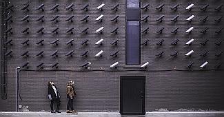Information is Not Insight